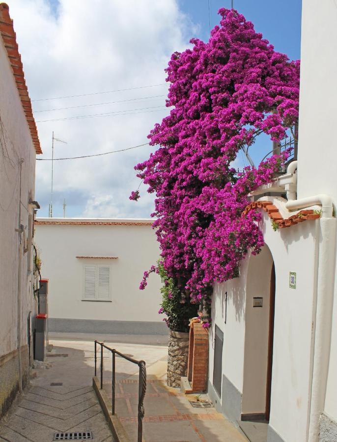 B&B Casa Angelina Anacapri  Exterior photo
